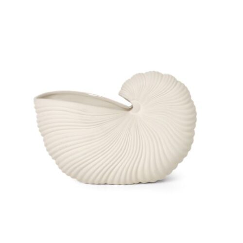 A white ceramic vase shaped like a seashell with detailed ridges, displayed against a plain background