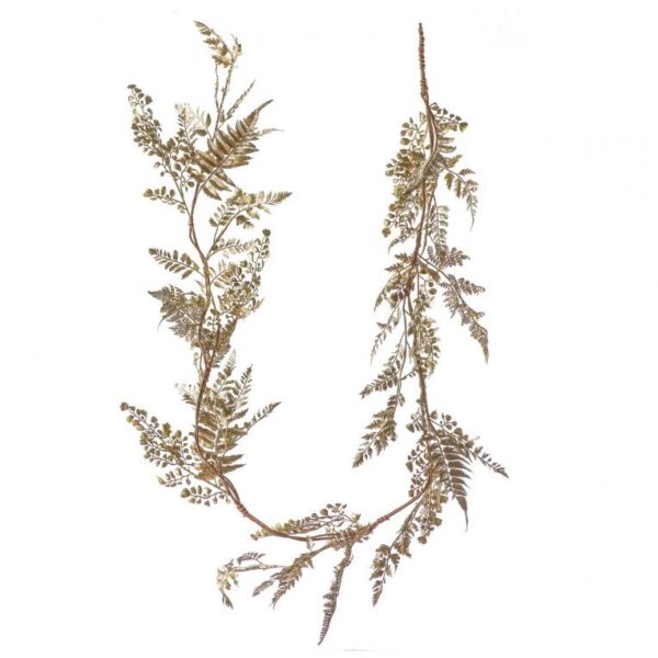 a branch of a plant with leaves on a white background