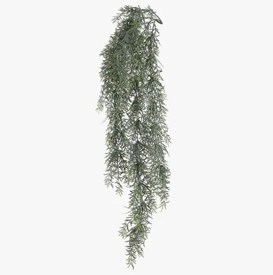 a green plant hanging from the side of a white wall