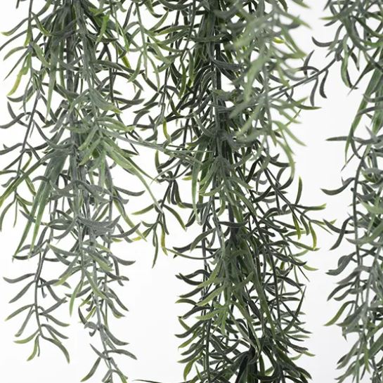 a close up of a tree branch with green leaves