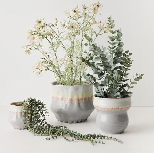 three vases with plants in them sitting on a table