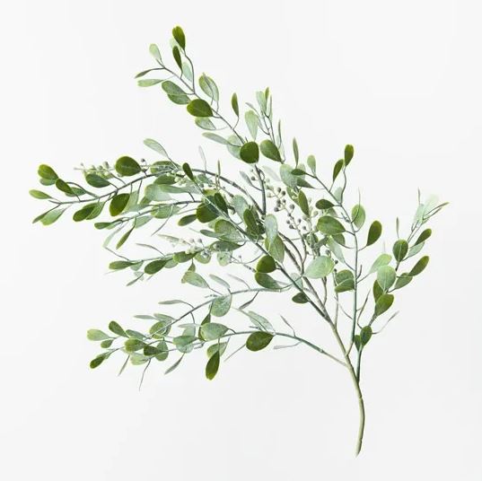 a plant with green leaves on a white background