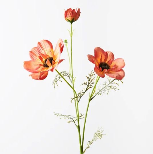 a couple of flowers that are in a vase