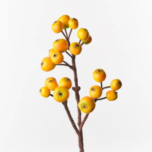 Loquat Spray - Yellow