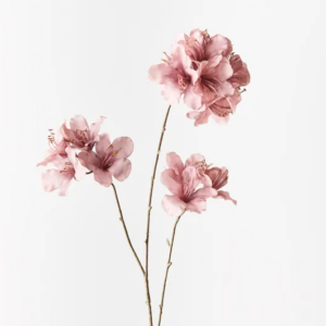 Azalea Spray - Dusty Pink