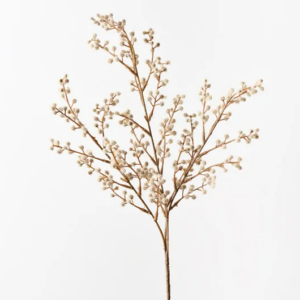 Wattle Spray - Natural