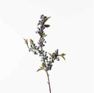 Berry Spray - Blue