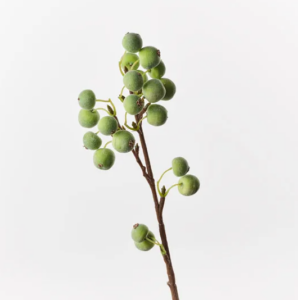 Berry Spray - Green