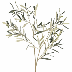 Olive leaf Branch 94cm - Green