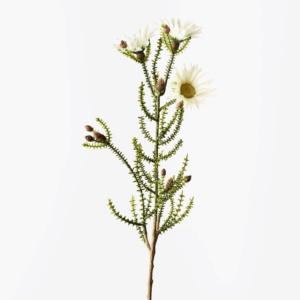 Kaaps Flower Spray - White