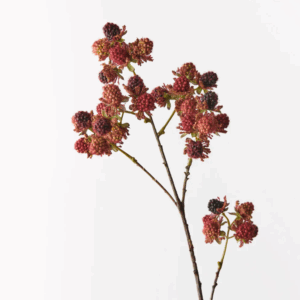 Mulberry Spray - Burgundy Red