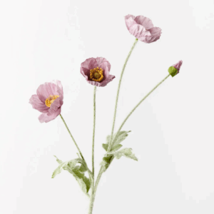 Poppy Iceland Spray - Lavender