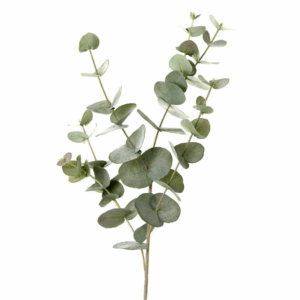 Eucalyptus Leaf Spray 86cm