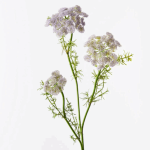 Queen Annes Lace Spray - Lavender