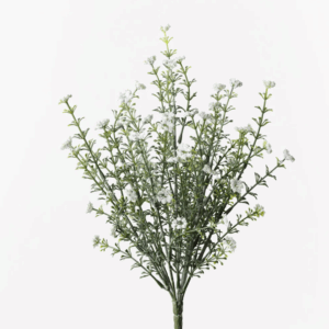 Berry Flowering Bush - White