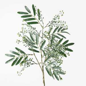 Seed Spray - Grey Green