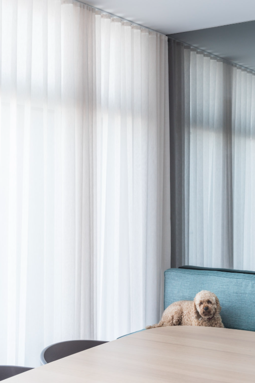 Elegant interior with modern blinds showing the best window coverings for Australian sunlight and heat