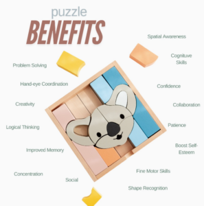 koala block puzzle completed design option one